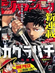 武道巅峰 漫画免费看